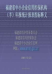 担保机构统计报表指标解释