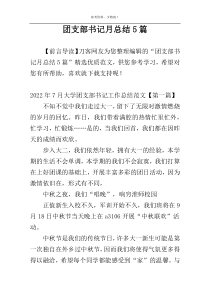 团支部书记月总结5篇