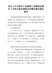 县红十字支部关于县委第三巡察组巡察红十字党支部反馈意见的整改落实情况报告