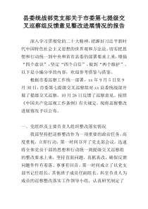 县委统战部党支部关于市委第七提级交叉巡察组反馈意见整改进展情况的报告