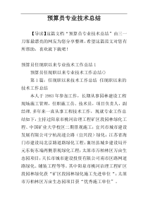 预算员专业技术总结