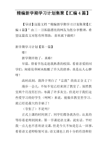 精编新学期学习计划集聚【汇编4篇】