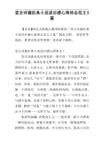 堂吉诃德经典小说读后感心得体会范文5篇