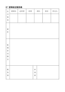 07促销经过报告表