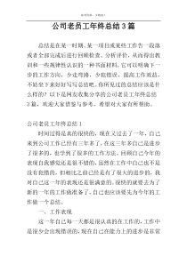 公司老员工年终总结3篇