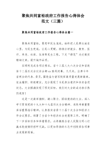 聚焦共同富裕政府工作报告心得体会范文（三篇）