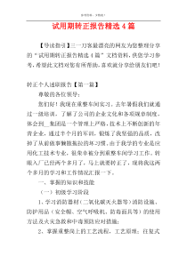 试用期转正报告精选4篇