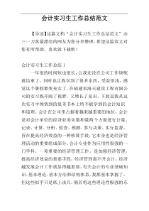 会计实习生工作总结范文