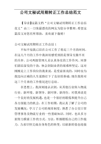 公司文秘试用期转正工作总结范文