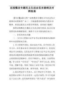 巡视整改专题民主生活会发言提纲及对照检查