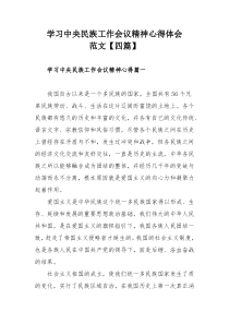 学习中央民族工作会议精神心得体会范文【四篇】