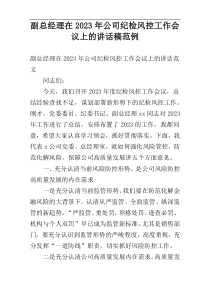 副总经理在2023年公司纪检风控工作会议上的讲话稿范例