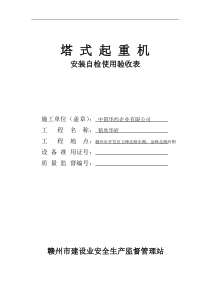 塔式起重机安装自检使用验收表