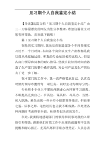 见习期个人自我鉴定小结