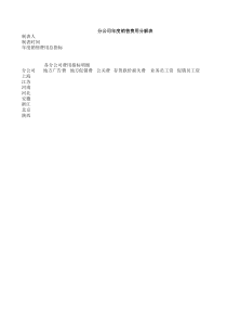 分公司年度销售费用分解表