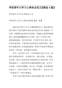 学校青年大学习心得体会范文【精选4篇】