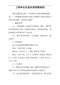 工程单位应急处理预案细则