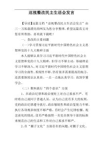 巡视整改民主生活会发言