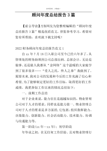 顾问年度总结报告3篇