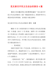 党支部召开民主生活会的报告4篇