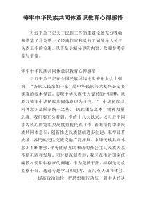 铸牢中华民族共同体意识教育心得感悟