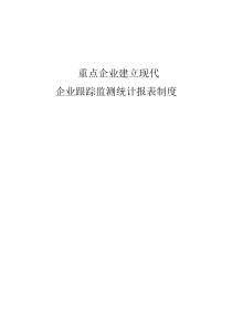 重点企业建立现代企业跟踪监测统计报表制度目录