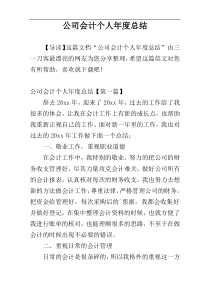 公司会计个人年度总结