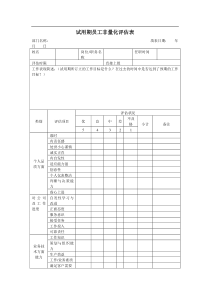 试用期员工非量化评估表