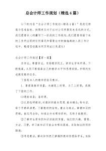 总会计师工作规划（精选4篇）