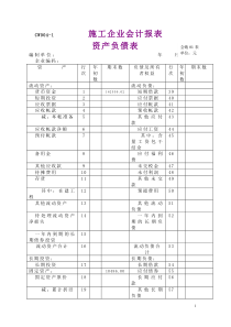 施工企业资产负债表