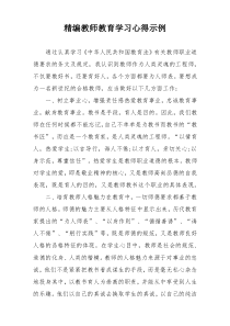 精编教师教育学习心得示例