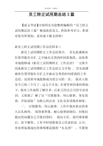 员工转正试用期总结3篇