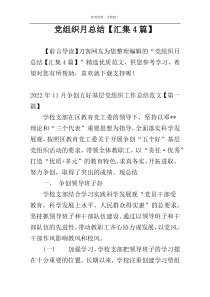 党组织月总结【汇集4篇】