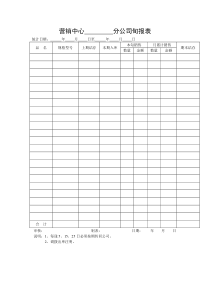 营销中心分公司旬报表