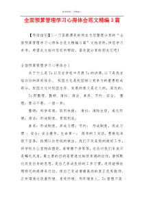 全面预算管理学习心得体会范文精编3篇