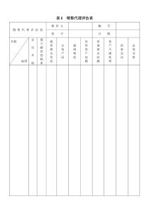 表6  销售代理评估表