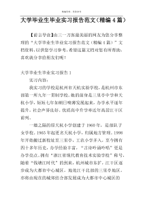 大学毕业生毕业实习报告范文（精编4篇）