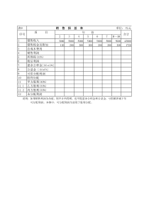 销售损益表