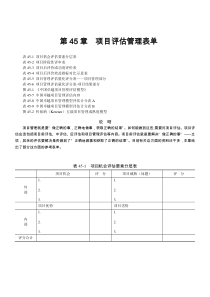 第45章 项目评估管理表单