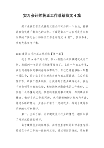 实习会计师转正工作总结范文4篇