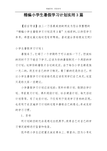 精编小学生暑假学习计划实用3篇