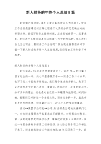 新人财务的年终个人总结5篇