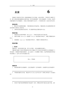 北大植物生物学实验指导06真菌