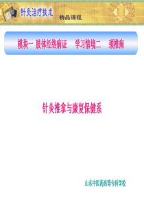 山东中医药高专针灸治疗技术课件02肢体经络病症-2颈椎病