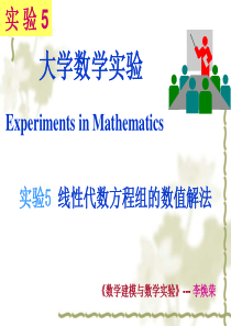 重庆工商大学数学模型与数学实验课件第09讲 线性代数方程组的数值解法