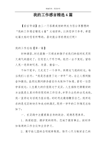 我的工作感言精选4篇