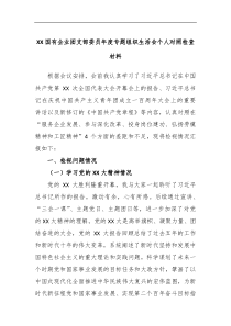 XX国有企业团支部委员年度专题组织生活会个人对照检查材料