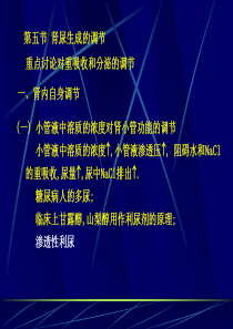 复旦生理学课件10-2尿的生成和排出（下）