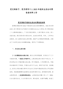 党支部班子、党员领导个人2023年组织生活会对照检查材料2份