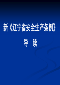 辽宁省安全生产条例（PPT77页)